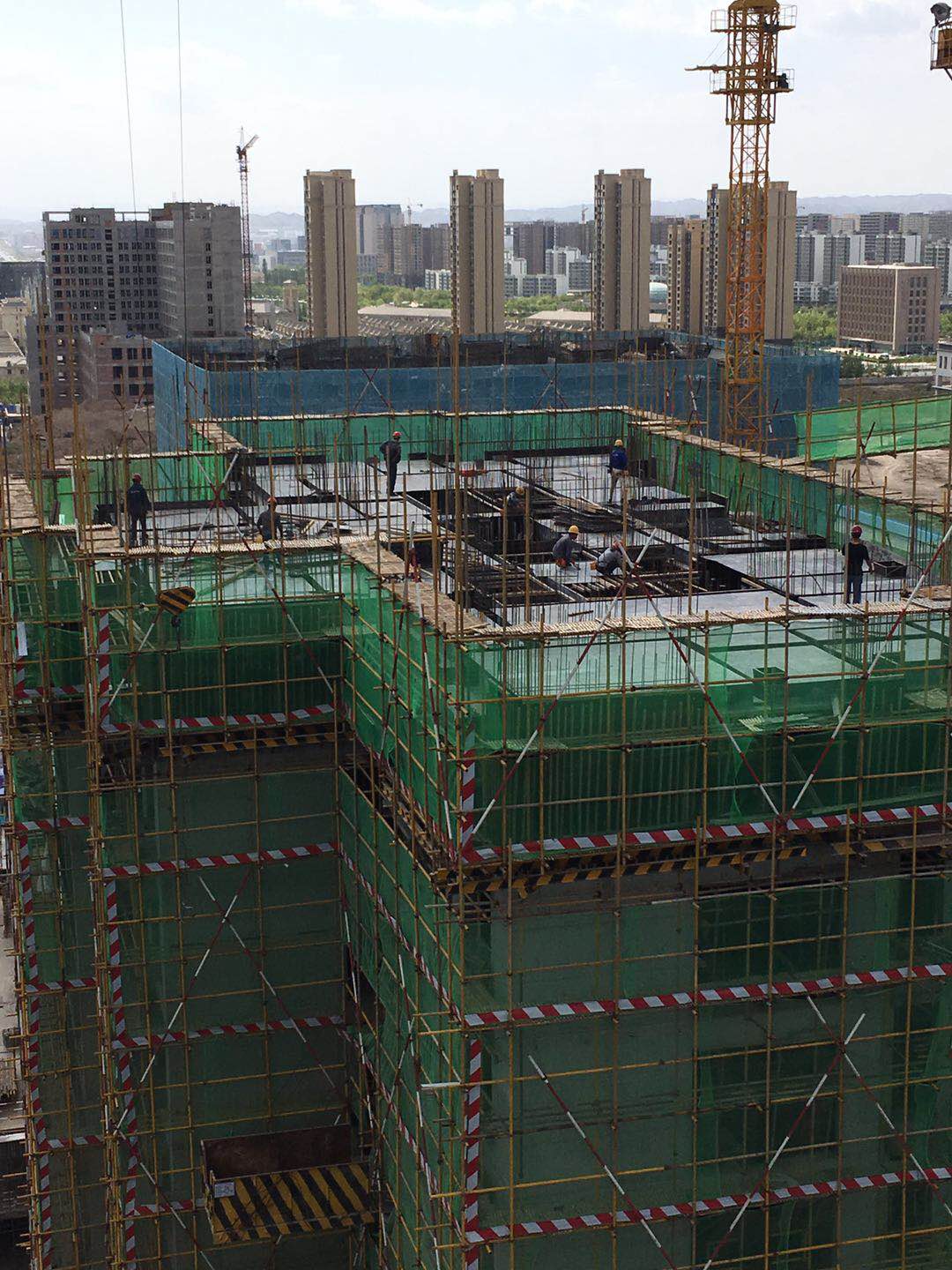 1558686097543838.jpg 10.jpg