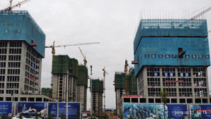 1561606207283471.jpg 1jpg.jpg