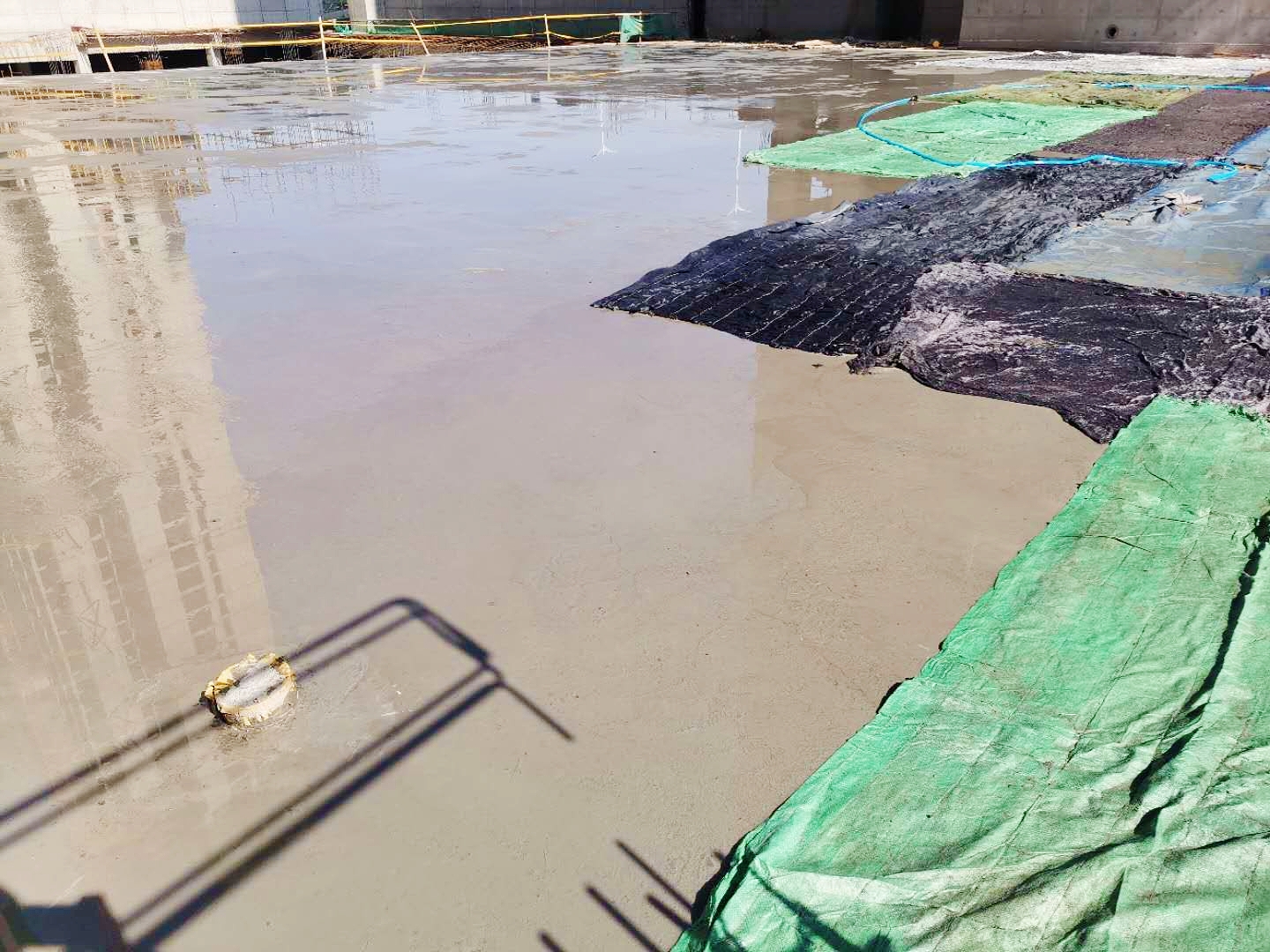 1593586062355601.jpg 1593586062355601.jpg