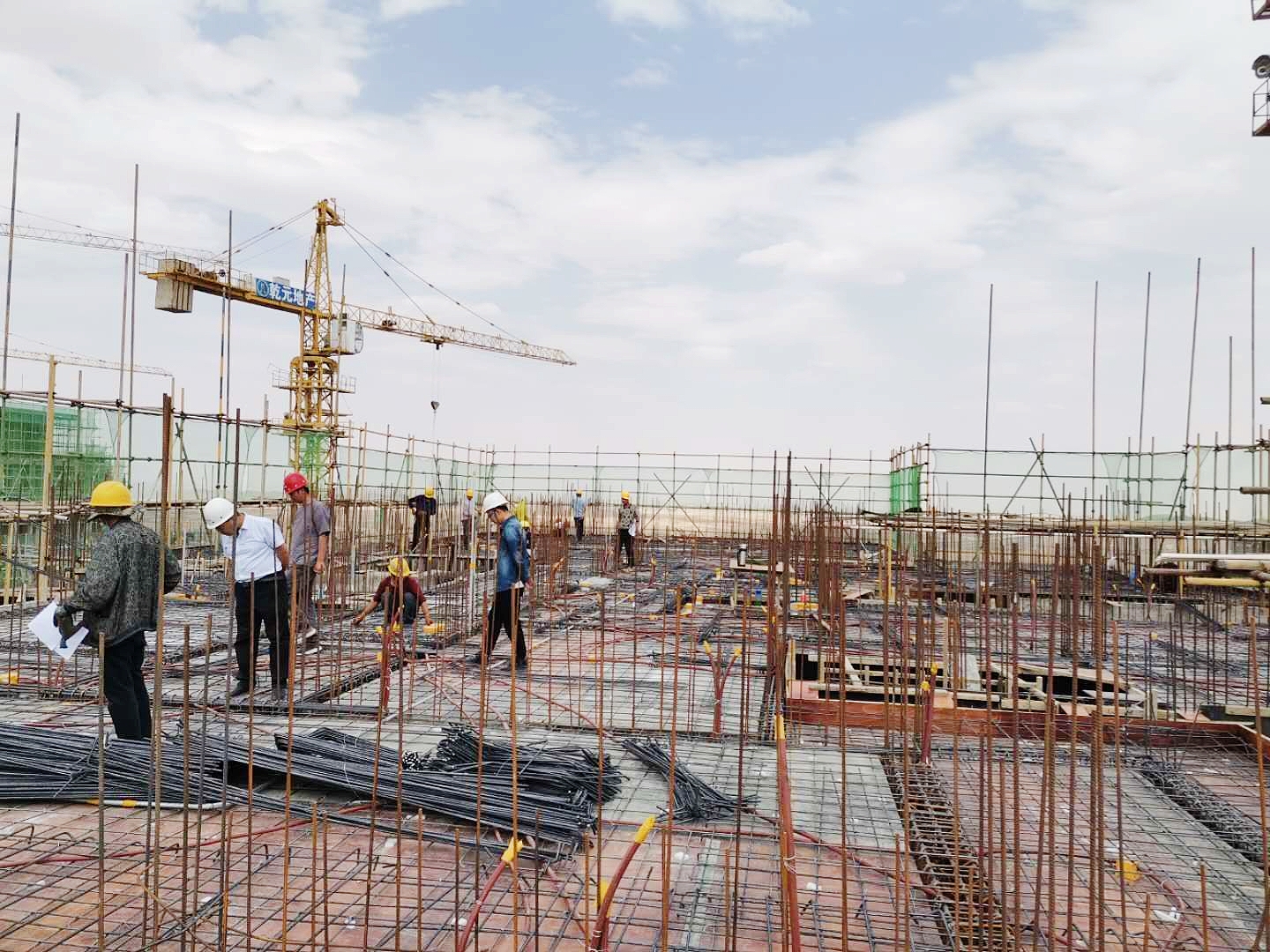 1593587686347797.jpg 1593587686347797.jpg