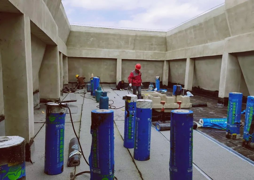 1603171500705285.jpg 1603171500705285.jpg