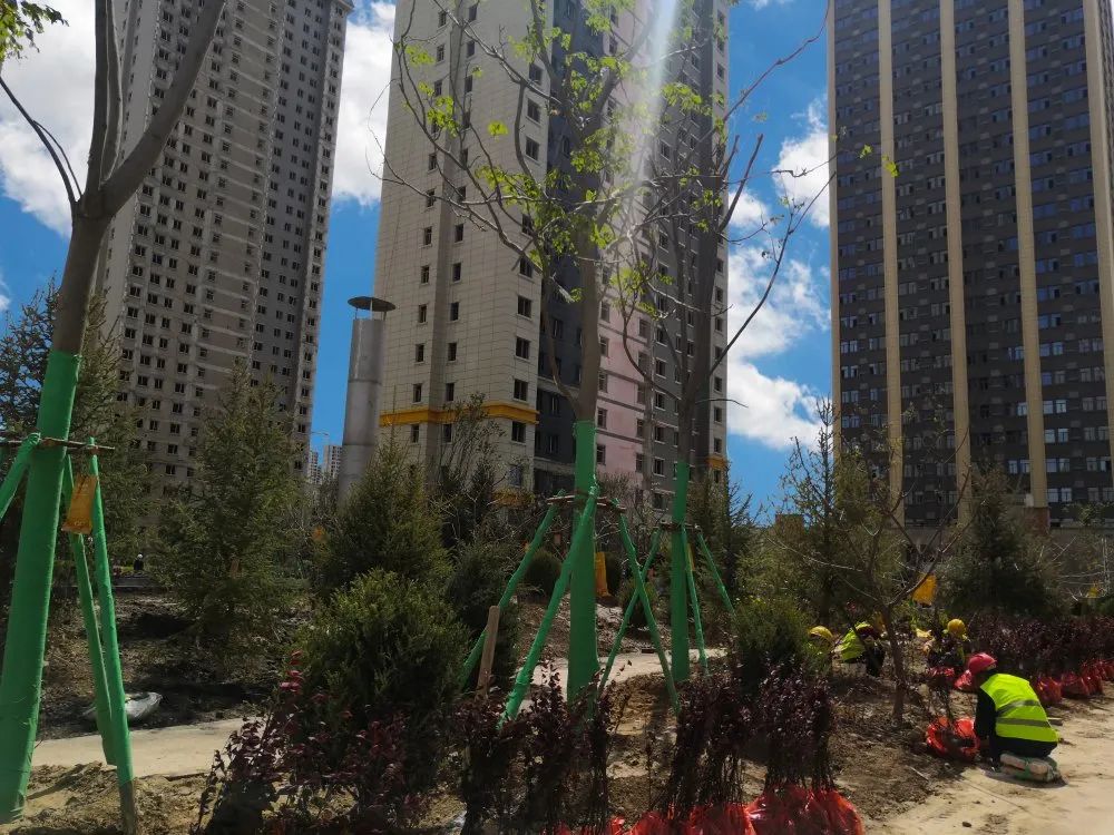 1622014652134032.jpg 1622014652134032.jpg